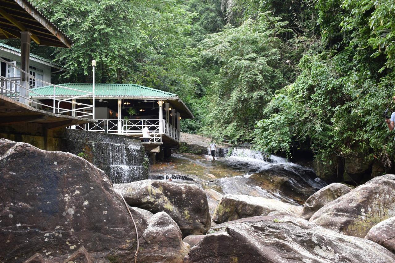 Royal River Resort Kitulgala Exterior photo