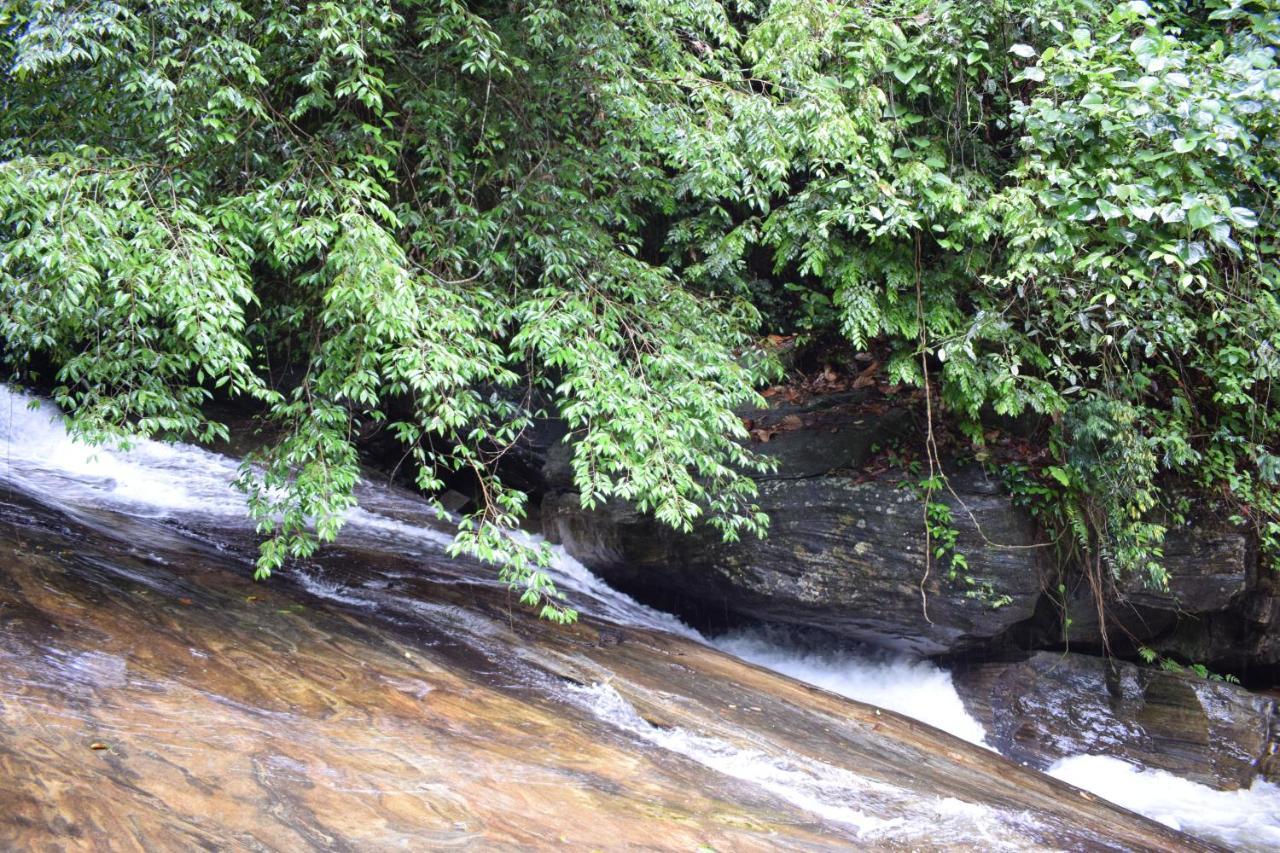 Royal River Resort Kitulgala Exterior photo
