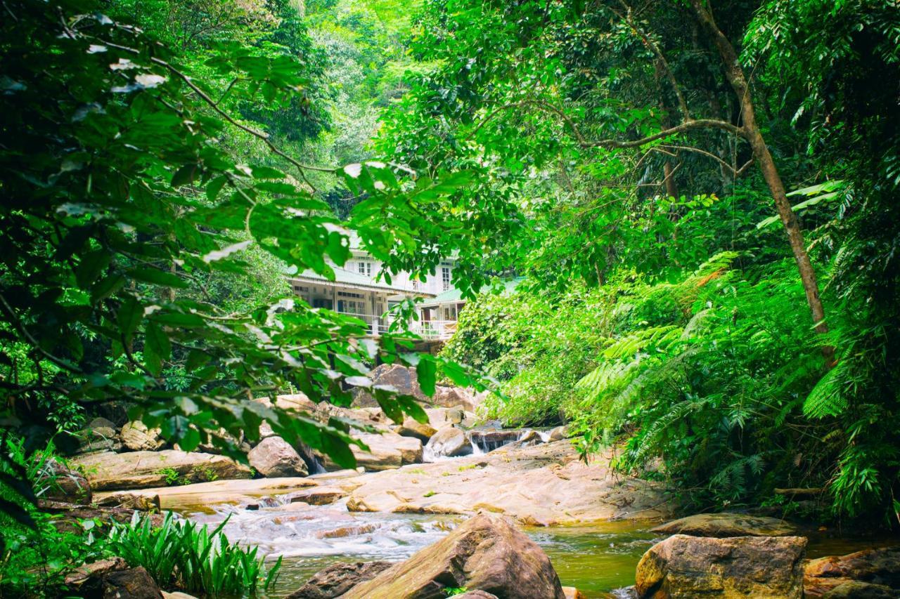 Royal River Resort Kitulgala Exterior photo