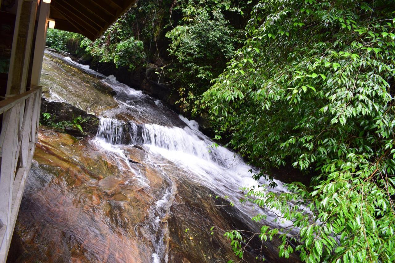 Royal River Resort Kitulgala Exterior photo
